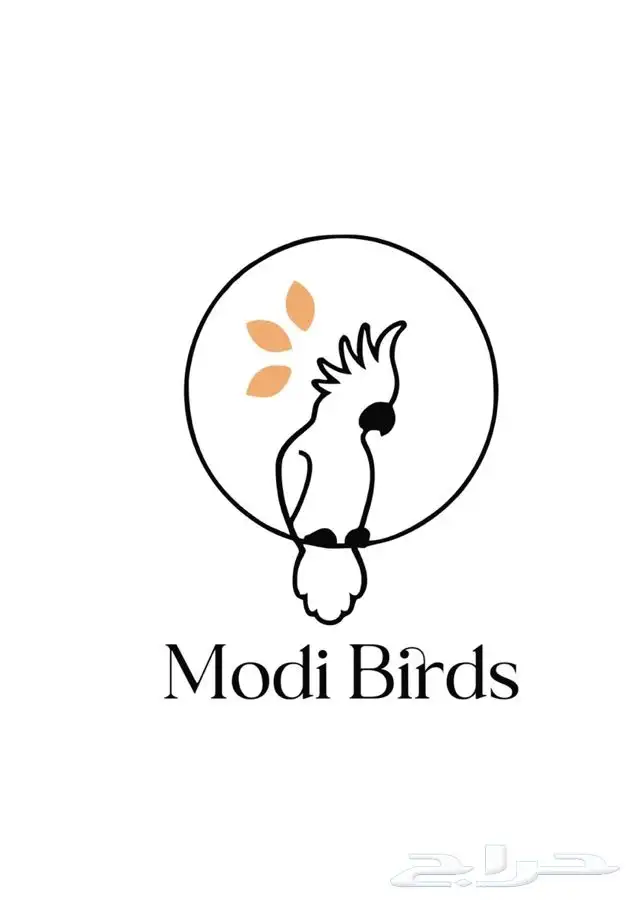 متجر Modi Birds 18