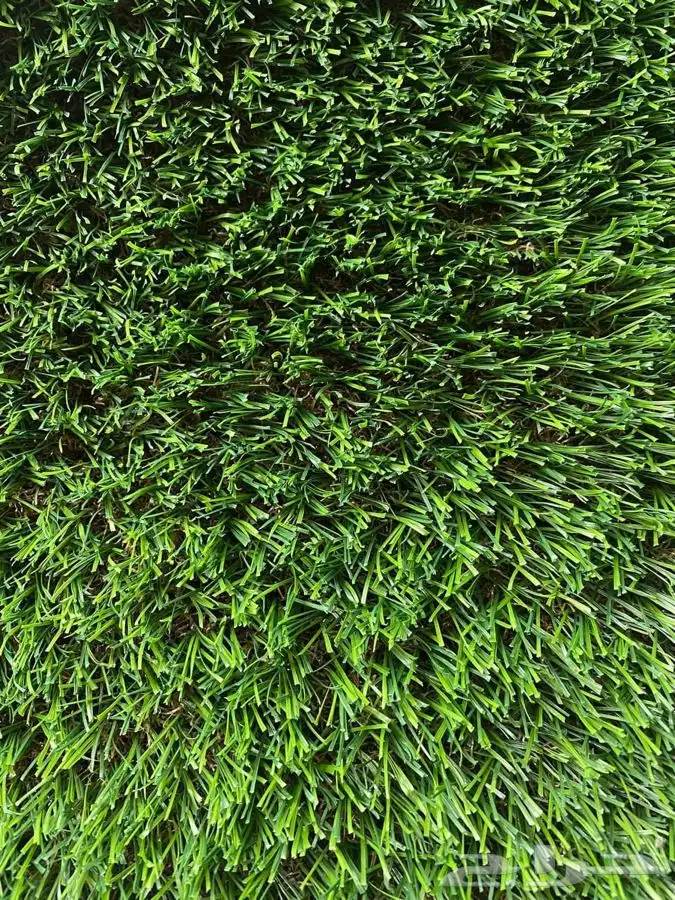 جملة العشب صناعي بجدة 13