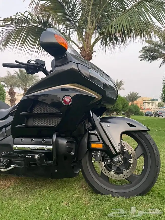 GOLDWING BLACK EDITION (Moka) 1