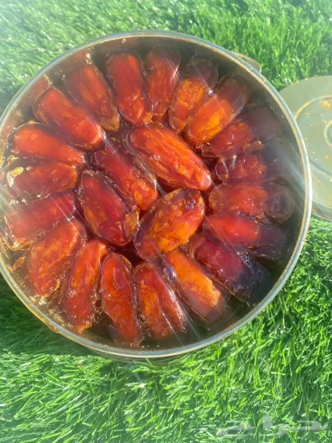 تمر صفري حبة كبير انتاج السنة هذي وحشي جديد مشروط شرط 0