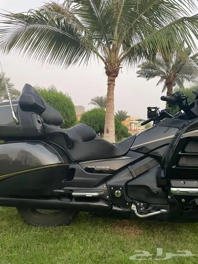 GOLDWING BLACK EDITION (Moka) 3