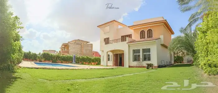 مصورين المدينة - عروض خاصة 39