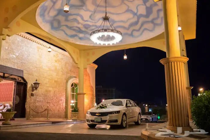 مصورين المدينة - عروض خاصة 24