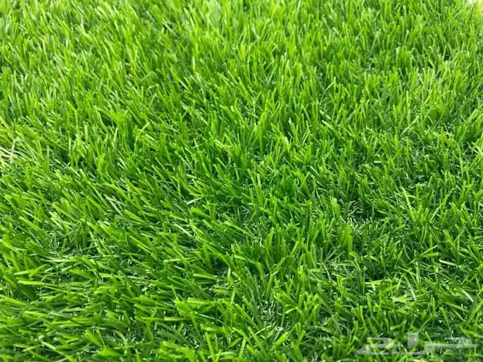 جملة العشب صناعي بجدة 12