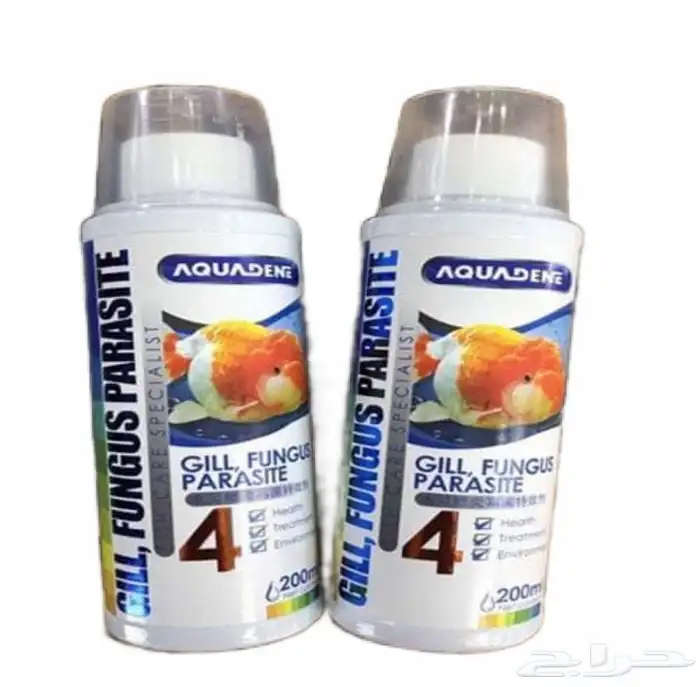 متجر Modi Birds 6