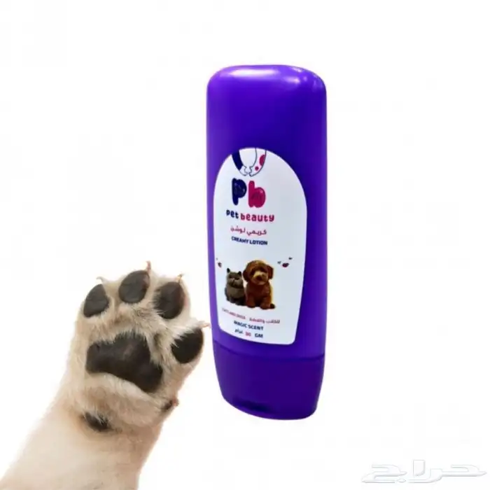 متجر Modi Birds 7