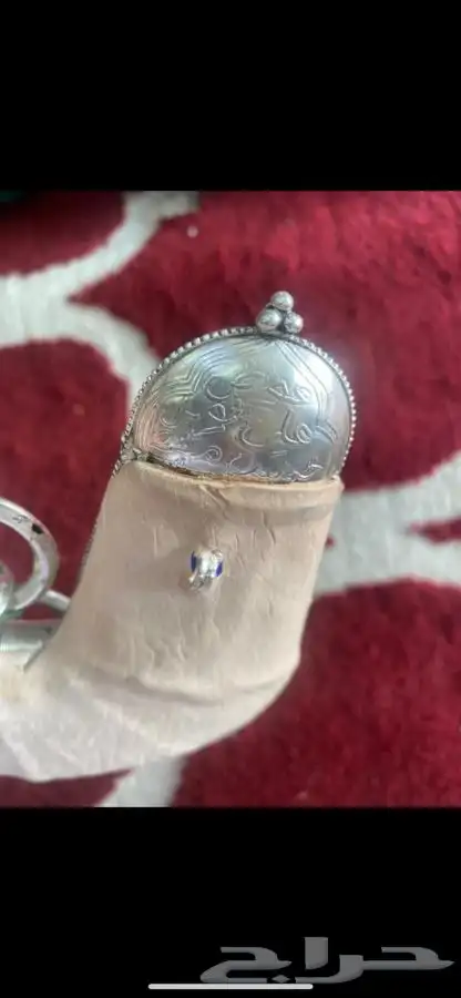 جنبيه زراف كفو 8