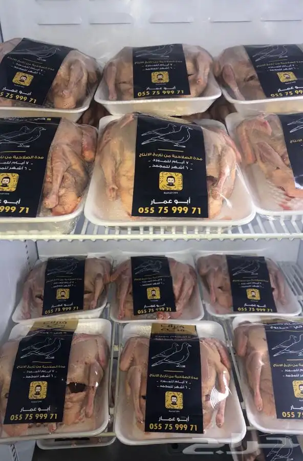 زغاليل فرنسي 0