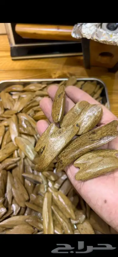 عود مروكي طبيعي محسن فاخر ( 101 تقييم ايجابي ) 3