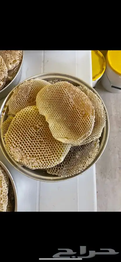 عسل سدر سمر طلح شوكه 190 للكيلو يوجد جمله سعر منافس 0