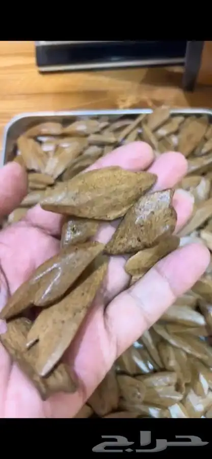 عود مروكي طبيعي محسن فاخر ( 101 تقييم ايجابي ) 2