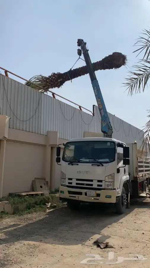 كرين ونش للايجار 0