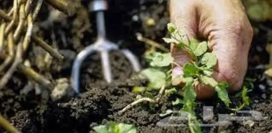 مظلات جلسات خارجية المدينة المنورة 3