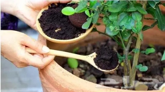 مظلات جلسات خارجية المدينة المنورة 1