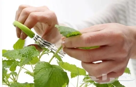 مظلات جلسات خارجية المدينة المنورة 0