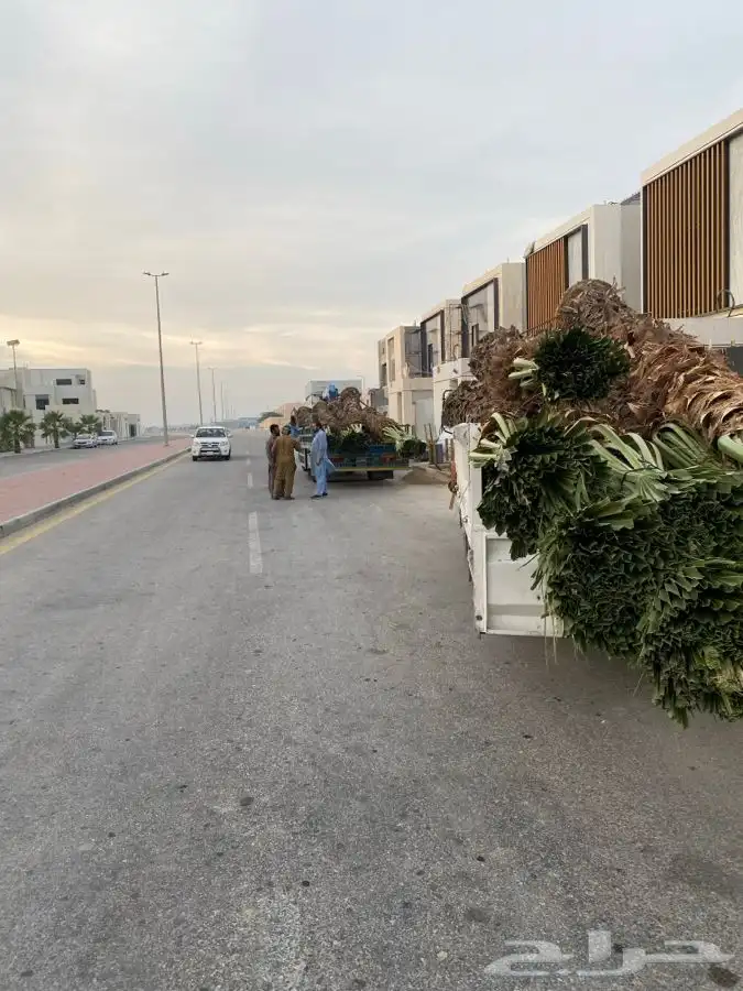 دينات كرين حمول 8 طن للأيجار بالمشوار وشهري 0