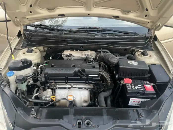 اكسنت 1 1 0 2 وردة تم البيع 21