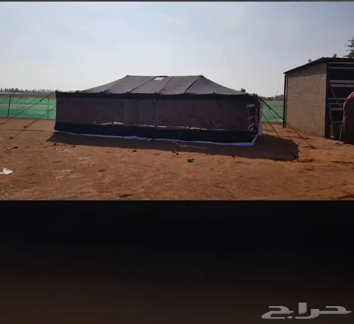 خيام وبيوت شعر 5