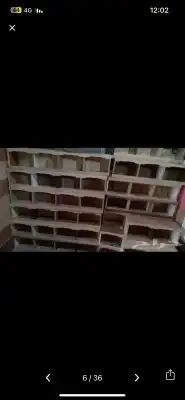 قفص محاكر تفصيل 31