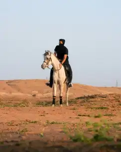 مصور لتصوير منتجات 14