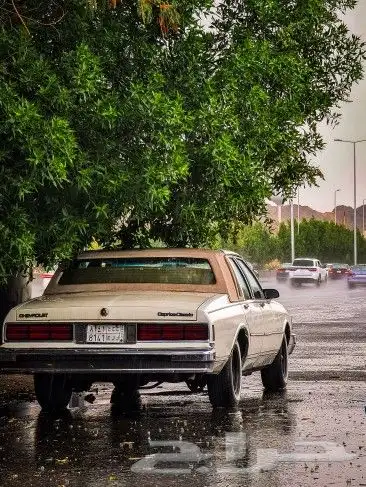 مصور لتصوير منتجات 31