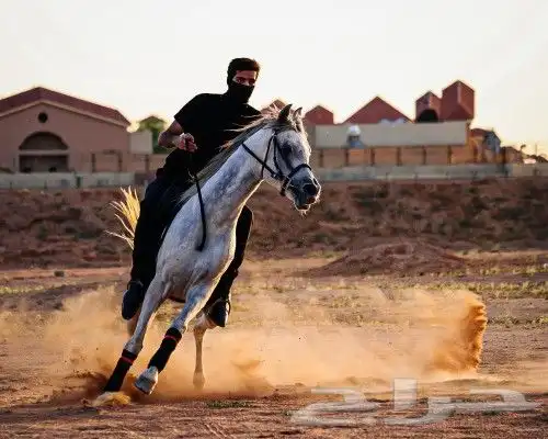 مصور لتصوير منتجات 15