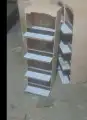 قفص محاكر تفصيل 30