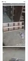 قفص محاكر تفصيل 25