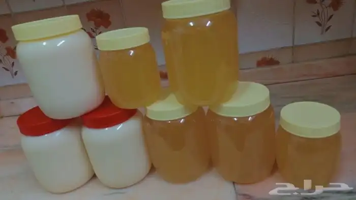 سمن غنم صافي بدون اضافات 0