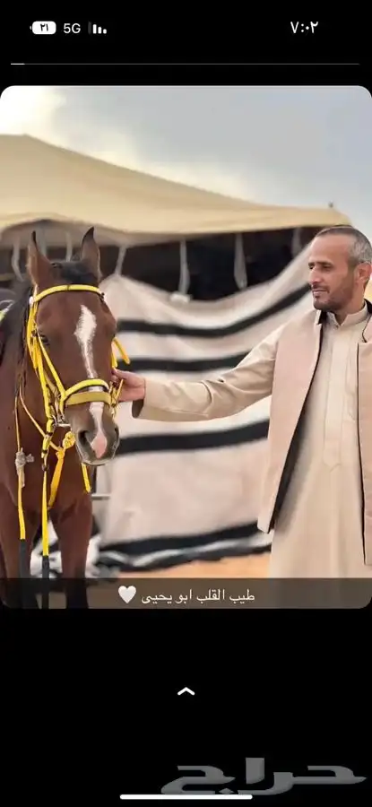 تاجير شاشات عملاقه 1