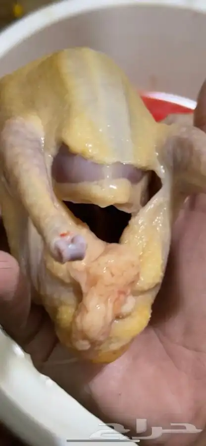 حمام فرنسي 2