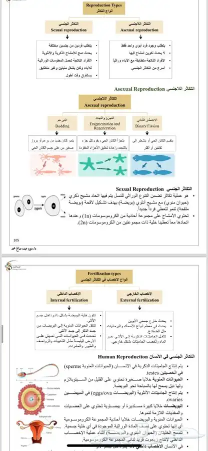 حلول واجبات وتصميم وعروض مدرسبه 1
