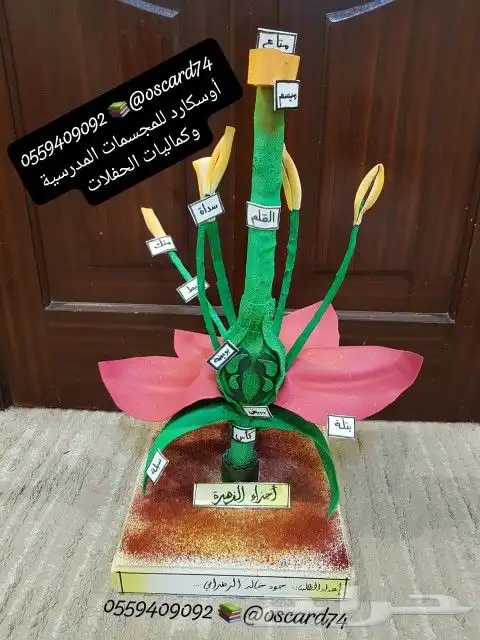 مجسمات و رسم ولوحات تعزيز و أنشطة روضه ومشاريع تخرج 8