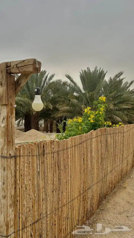 جريد خزاز منظوم ومرتب. 11