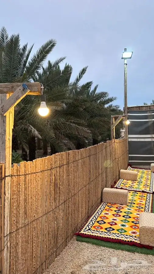 عسيب نخل مسفوف 8