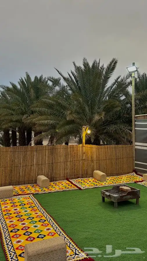 عسيب نخل مسفوف 9