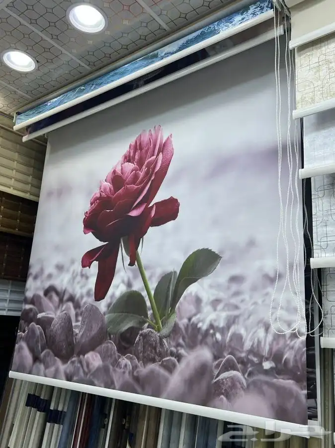 ستائر رول 7