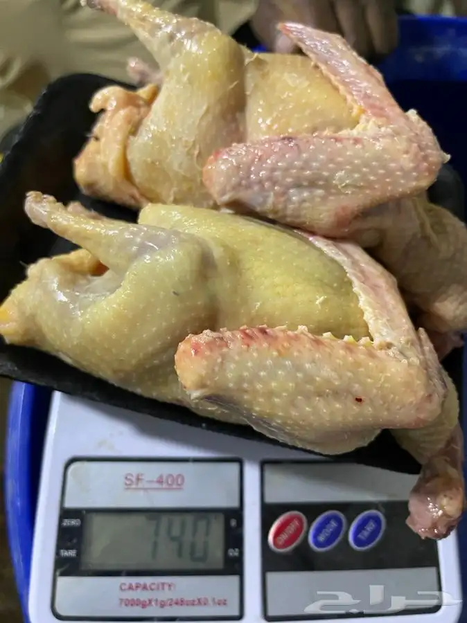 حمام فرنسي 0