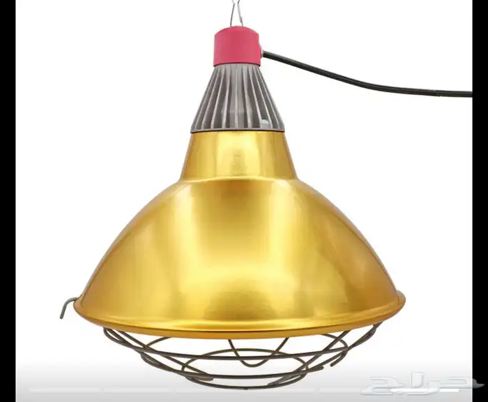 لمبة سيراميك دفايات لمبة بأشعة حمراء 2