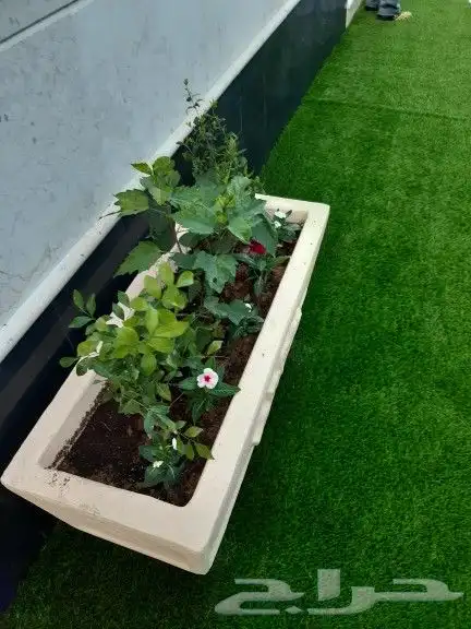 تنسيق الحدائق والشلالات والنوافير والمظلات 1