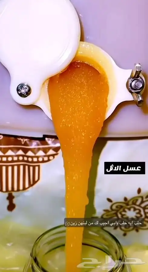 عسل زهور الأثل 2