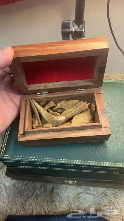 مروكي اصقون سوبر مرتفع تم البيع 1
