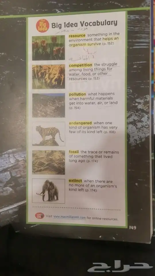 مدرس انجلش انترناشونال الواحة 3