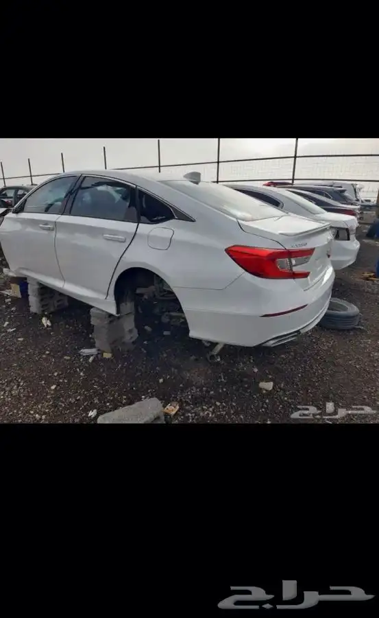 مندوب تشليح الحاير 19