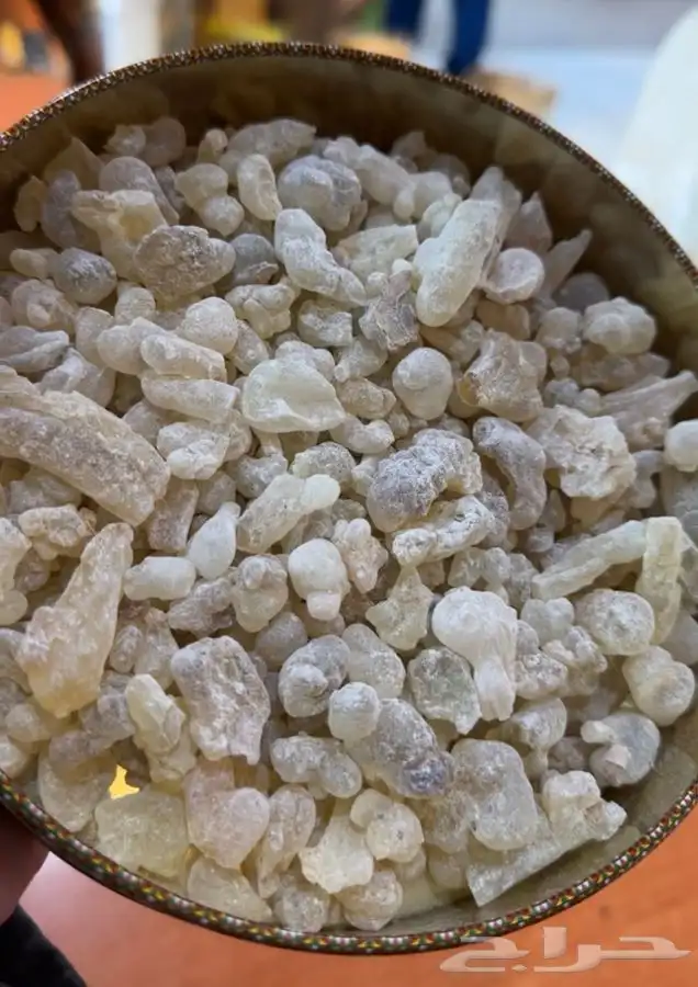 لبان عماني حوجري عالي الجودة ( جديد ) 1