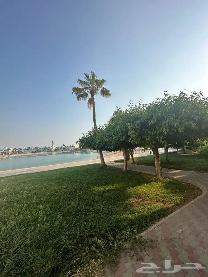 شاليه مسبح مطل على البحر مباشرة 12
