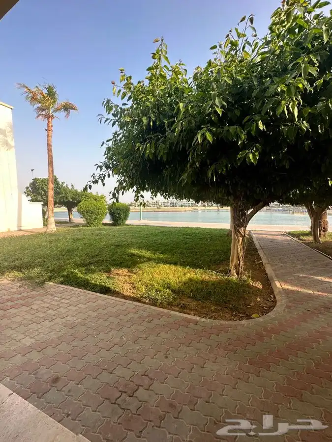 شاليه مسبح مطل على البحر مباشرة 16