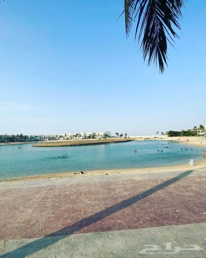 شاليه مسبح مطل على البحر مباشرة 9