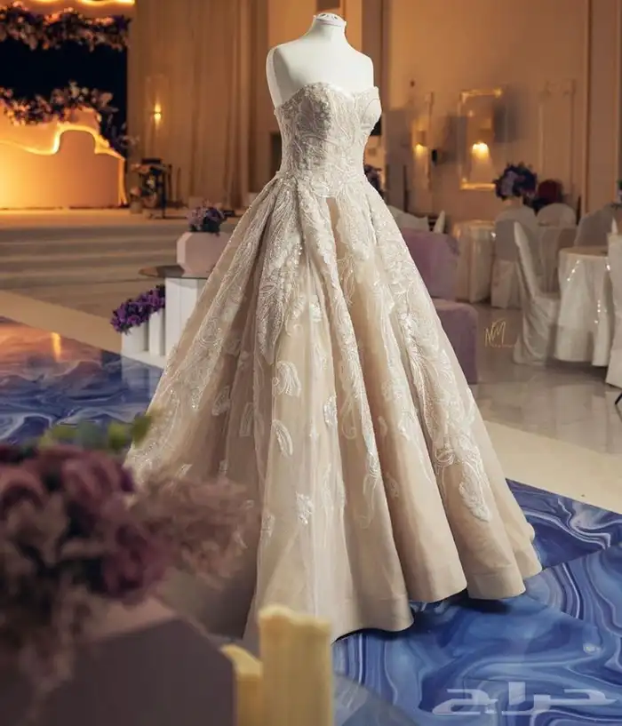 مصورة عرايس 13