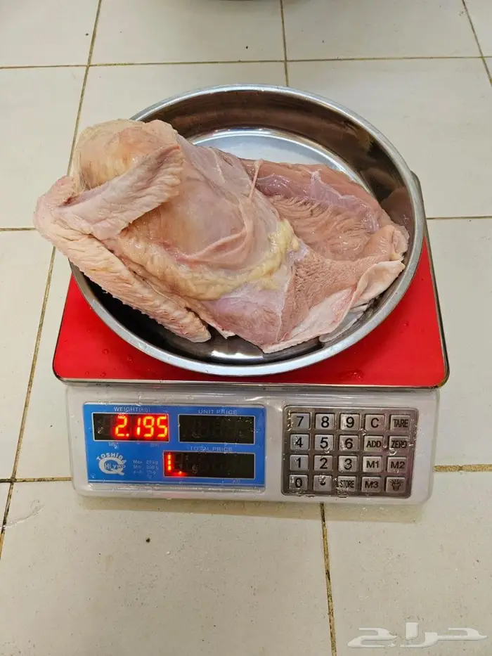 ديك رومي ذبح من 5 إلى 7 كيلو 2